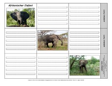 Leporello-Afrikanischer-Elefant-2-1-2.pdf